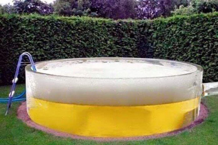 700x464, 101 Kb / бассейн, пиво, газон