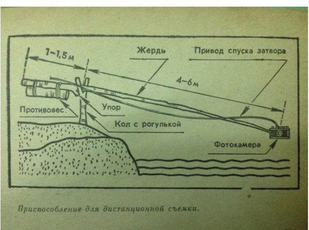 604x449, 64 Kb / Палка, Селфи, СССР