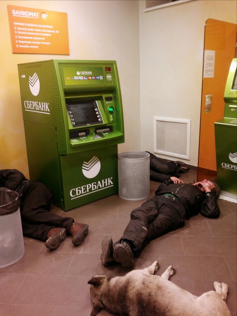 768x1024, 129 Kb / сбербанк, банкомат, собака, мужики