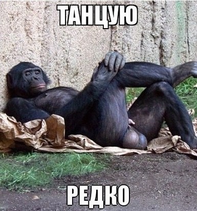 385x413, 63 Kb / Обезьяна, Яйца, Танцы