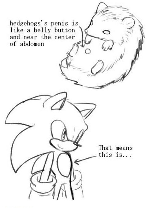 528x679, 55 Kb / ёж, пенис, соник