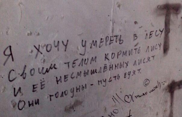 604x387, 38 Kb / лиса, лисята, лес, умереть