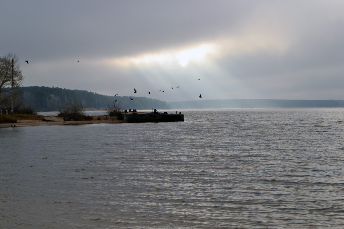 1200x800, 229 Kb / волга, река, осень, птицы, облака