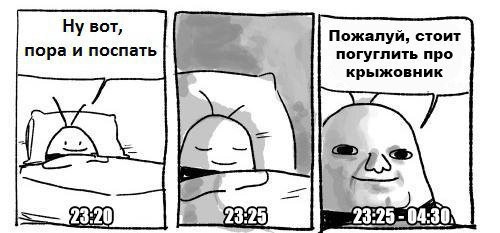 500x233, 32 Kb / Крыжовник, спать