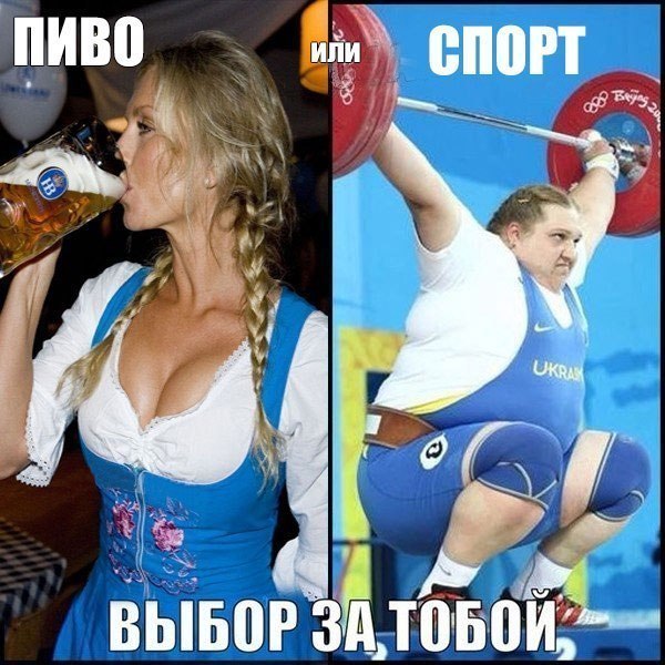 600x600, 94 Kb / пиво, спорт, девушки