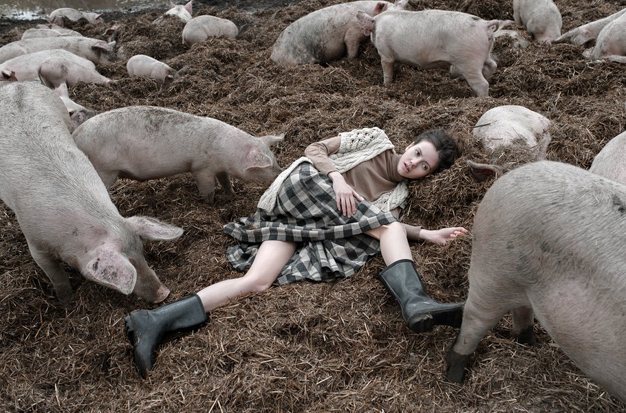 910x601, 212 Kb / сапоги, навоз, свиньи