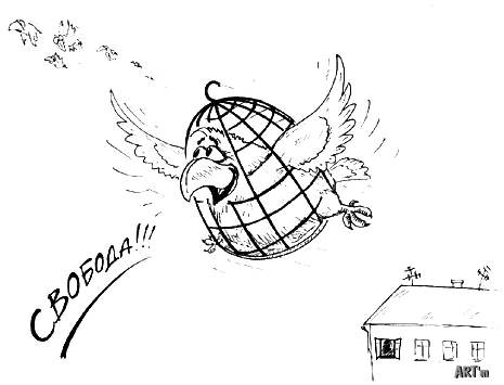 465x355, 20 Kb / клетка, свобода