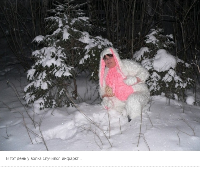 673x572, 241 Kb / лес, снег, зайчик, инфаркт