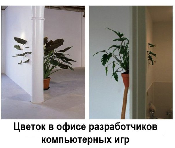 604x511, 47 Kb / Цветок, текстуры, застрял, игры, разработчики