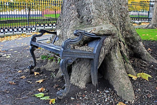 630x423, 168 Kb / дерево, скамейка, старина