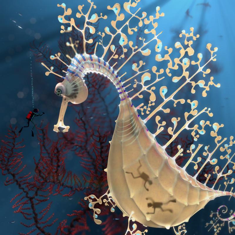 800x800, 98 Kb / CGTalk, CG, award, аквалангисты, морской конек, монстр