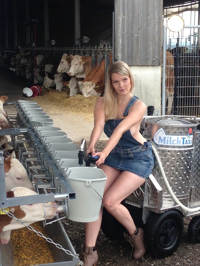 678x904, 174 Kb / молоко, ферма, коровы, комбинезон, блондинка, джинса