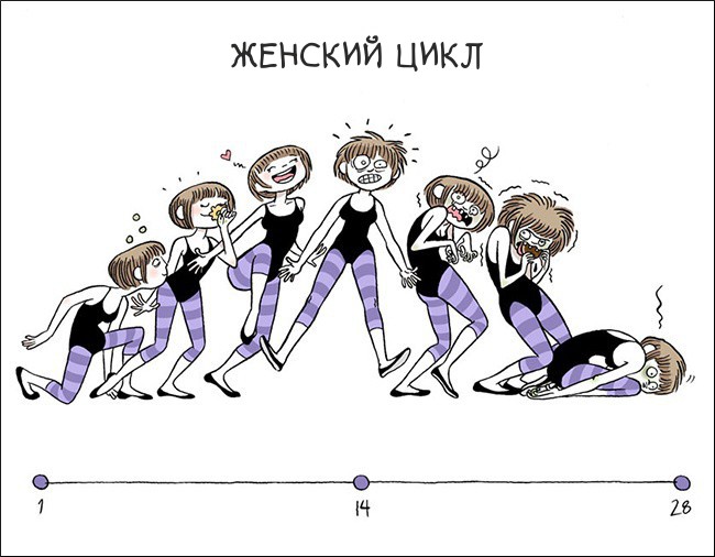 650x506, 77 Kb / Цикл, женщина, пмс