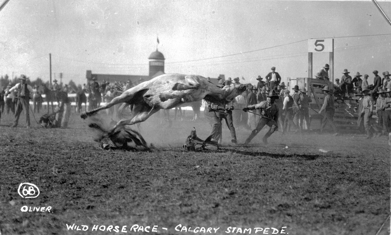 1280x771, 321 Kb / лошадь, загон, ч/б, ковбои, калгари