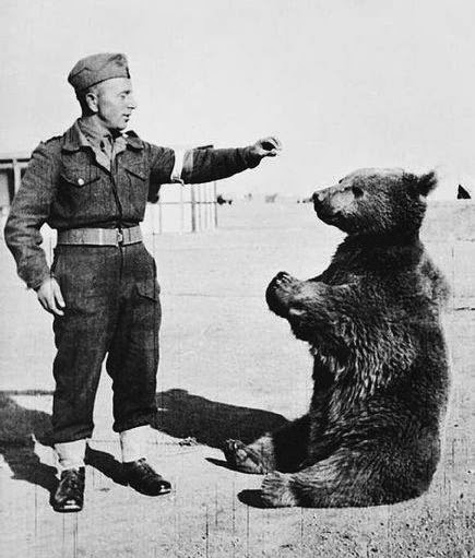 435x511, 46 Kb / Медведь, солдат, ч/б