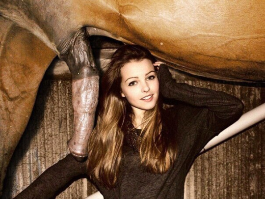 540x405, 91 Kb / конь, хуй