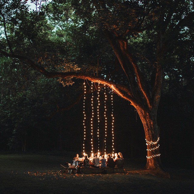 640x640, 122 Kb / ужин, дерево, гирлянда, стол