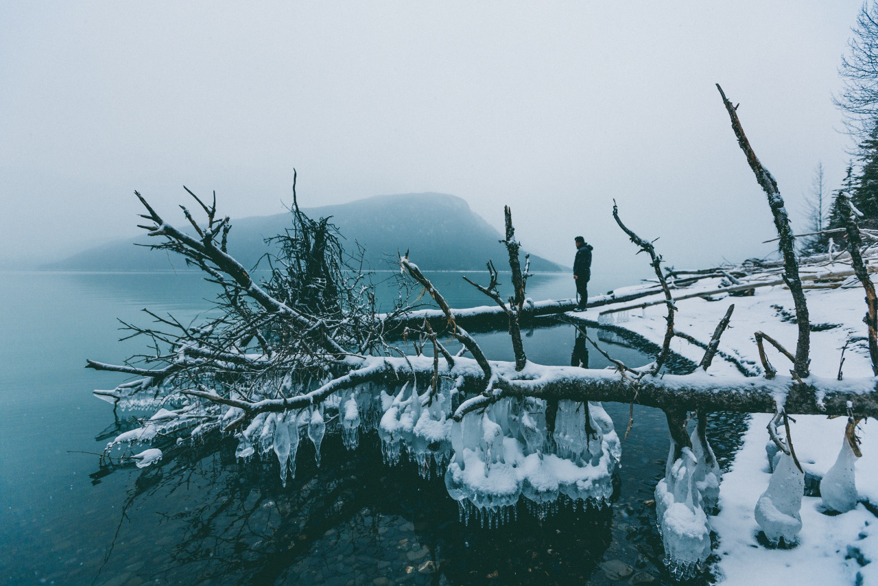 1280x854, 366 Kb / лед, вода, дерево, зима, снег, гора, мужик