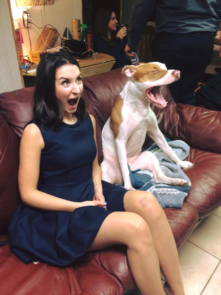 720x960, 68 Kb / брюнетка, собака, девушка, диван, пасть, зевает, синяк