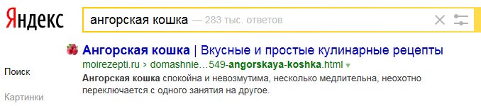 678x150, 31 Kb / яндекс, кошка, рецепт