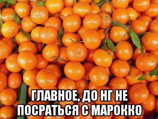 528x396, 78 Kb / апельсины, Марокко, мандарины