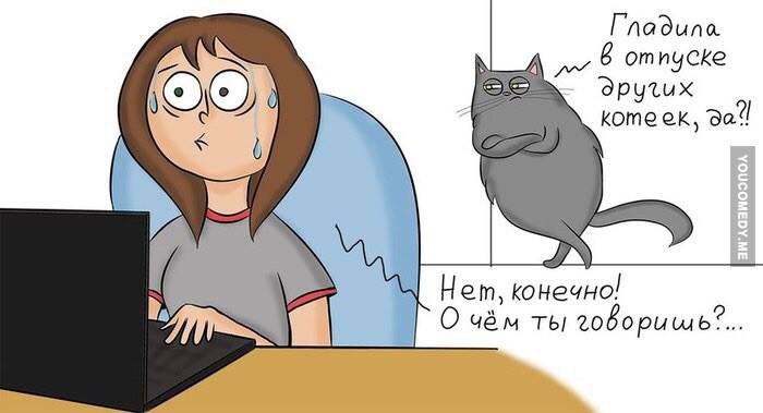 700x379, 60 Kb / Женщина, кошка, отпуск, ноутбук