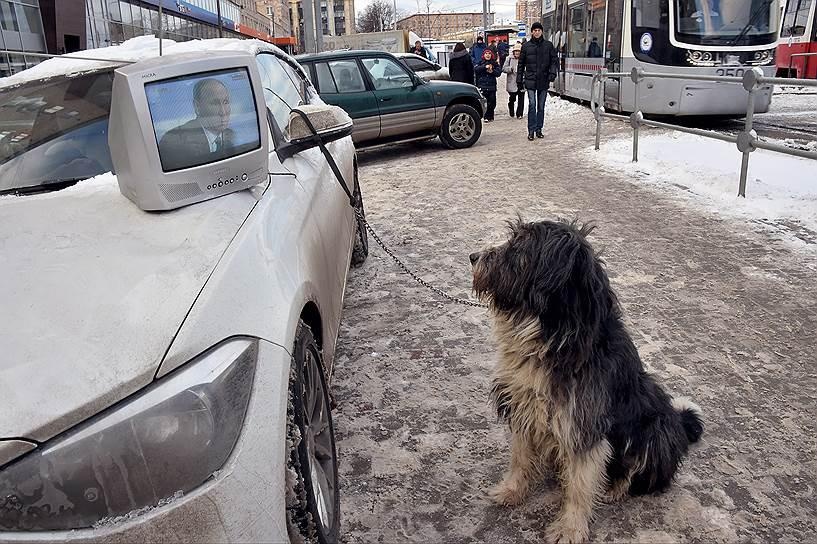 817x544, 219 Kb / путин, тв, собака, авто, зима, прямая линия