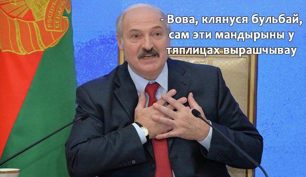 599x348, 50 Kb / лукашенко, мандарины