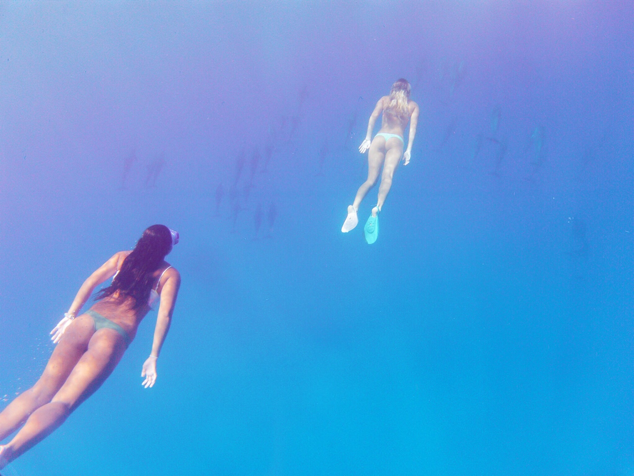 1280x960, 369 Kb / под водой, девушки, ласты, дайверы