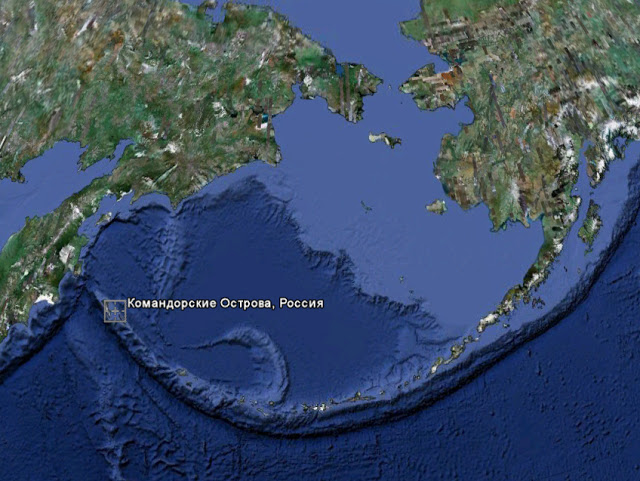 640x481, 102 Kb / Россия, Америка, остров