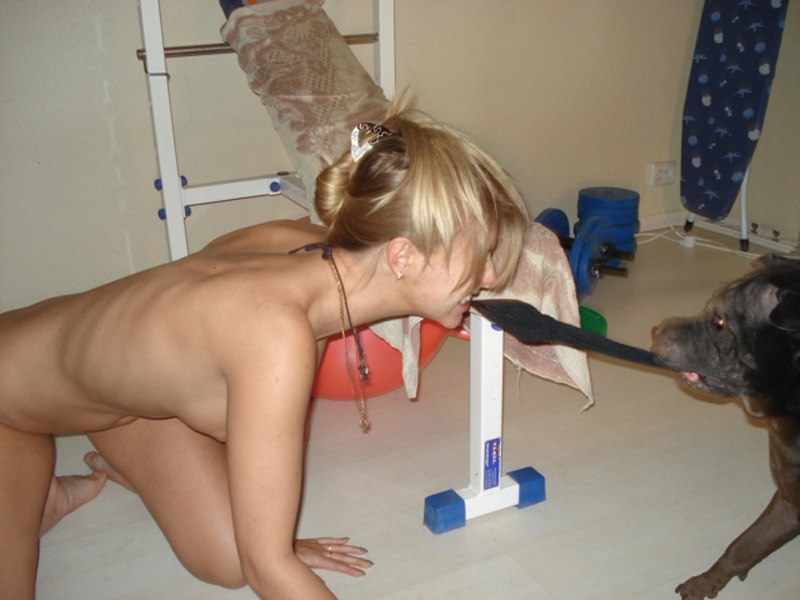 800x600, 65 Kb / собака, носок, перетягивание, сучки, гантели