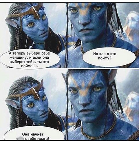 480x488, 80 Kb / аватар, выбор