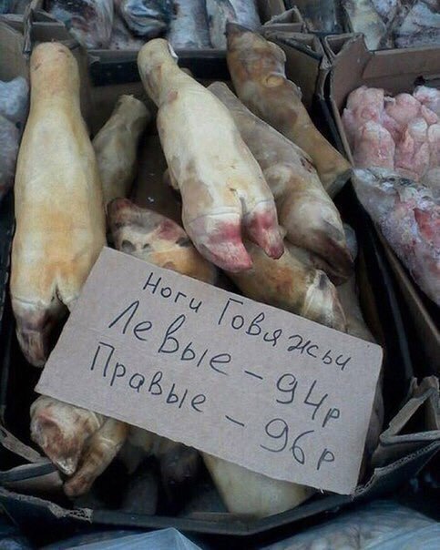 483x604, 58 Kb / копыта, ноги, левая, правая