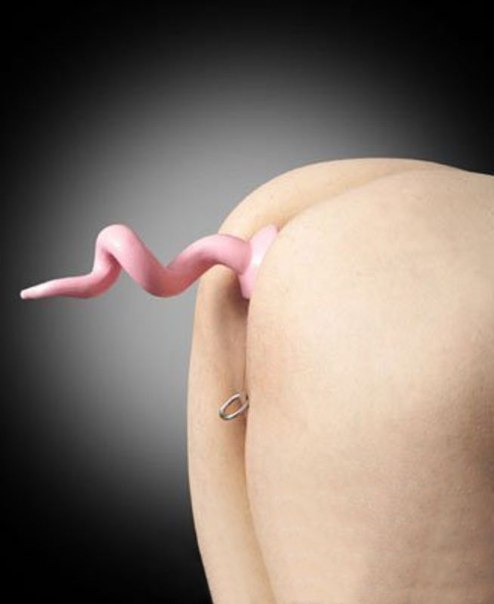 494x604, 23 Kb / пробка, хвостик