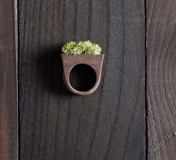 620x564, 100 Kb / кольцо, дерево, мох