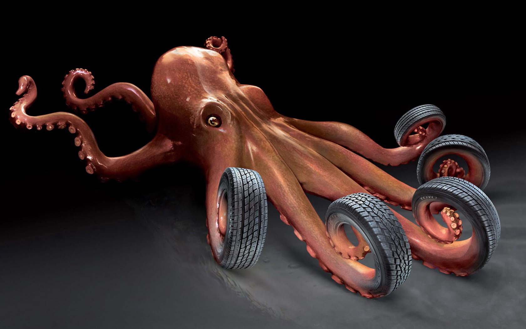 1680x1050, 115 Kb / осьминог, шины, фотошоп