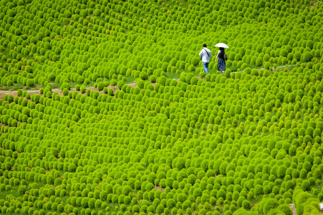 1280x853, 398 Kb / япония, национальный парк