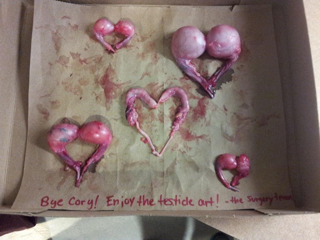 1024x768, 102 Kb / тестикулы, валентинка