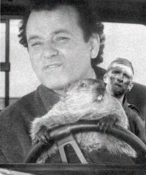 300x359, 38 Kb / чумазик, бобёр