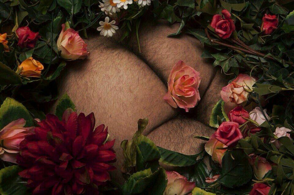 960x637, 118 Kb / жопа,розы