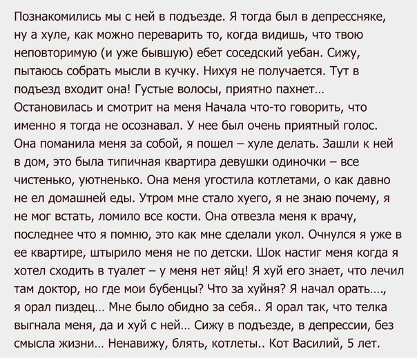 604x519, 103 Kb / Кот, Василий