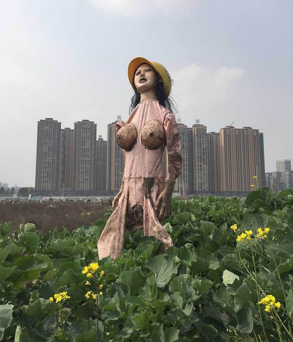 1000x1165, 352 Kb / китай, пугало, огород