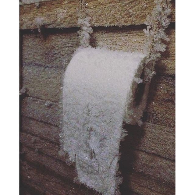 640x640, 75 Kb / туалет, толчок, бумага, мороз, иней