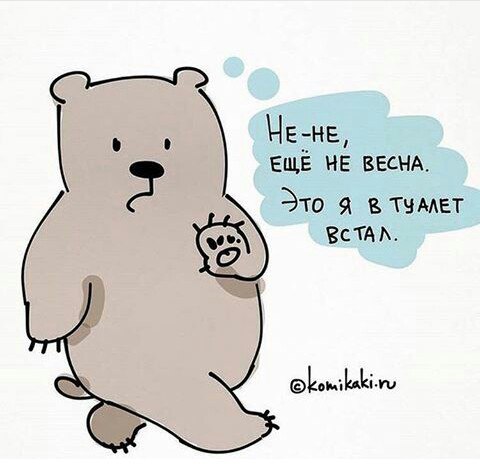 480x471, 34 Kb / медведь, весна