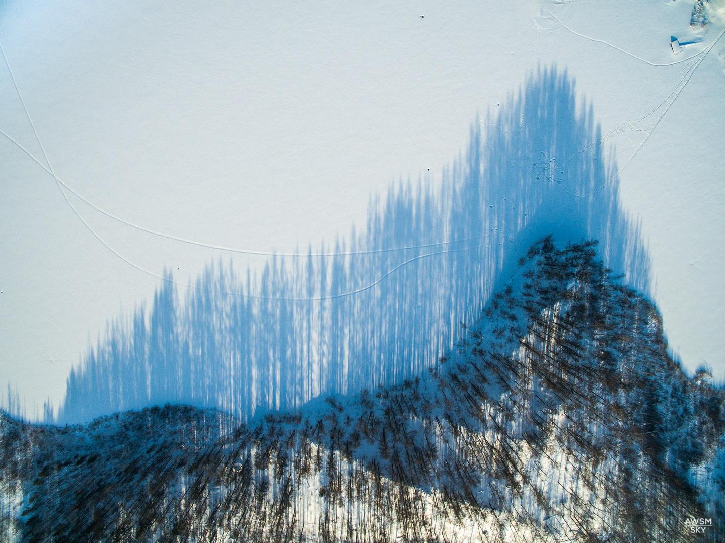 1440x1079, 259 Kb / Снег, тень, лес, сверху