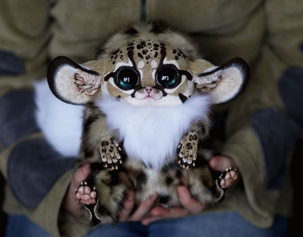 985x768, 92 Kb / игрушка, зверушка