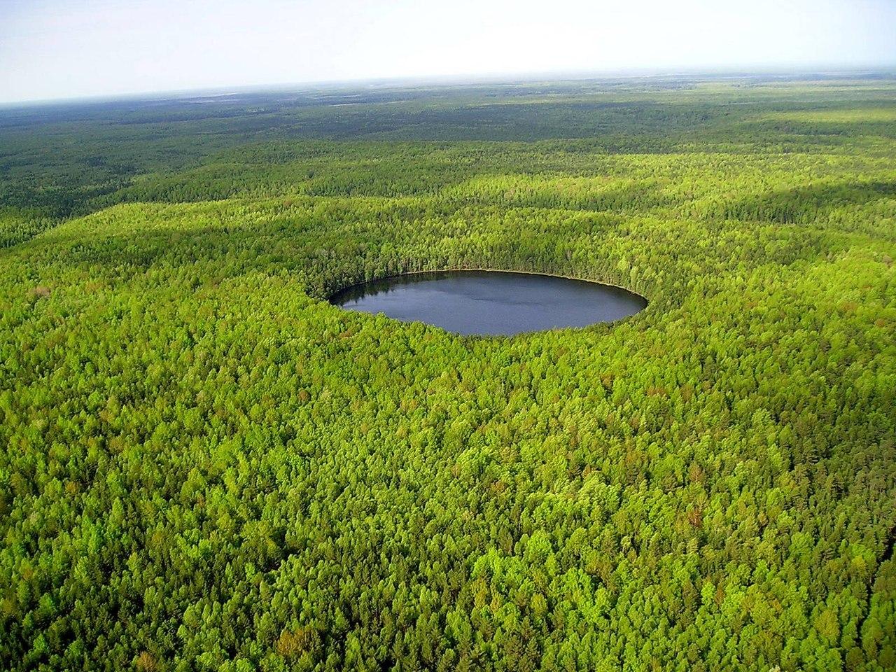 1280x960, 361 Kb / Тайга, озеро, ХМАО