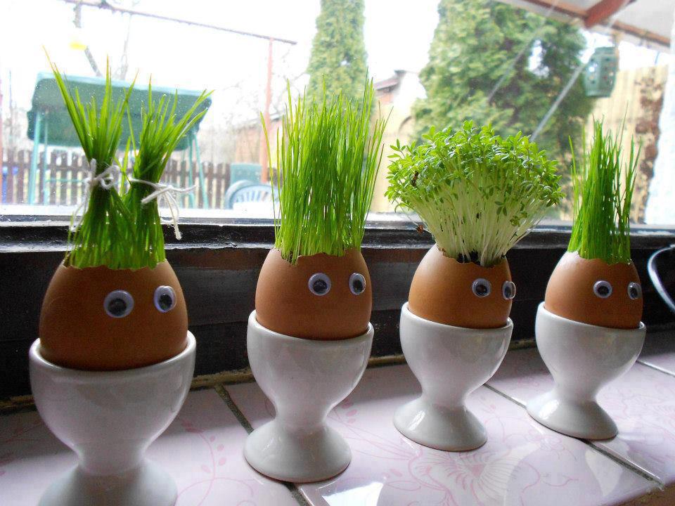 960x720, 103 Kb / Подоконник, яйца, подставки, зелень, волосы, глаза