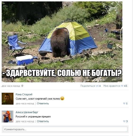 562x572, 114 Kb / медведь, палатка, политота