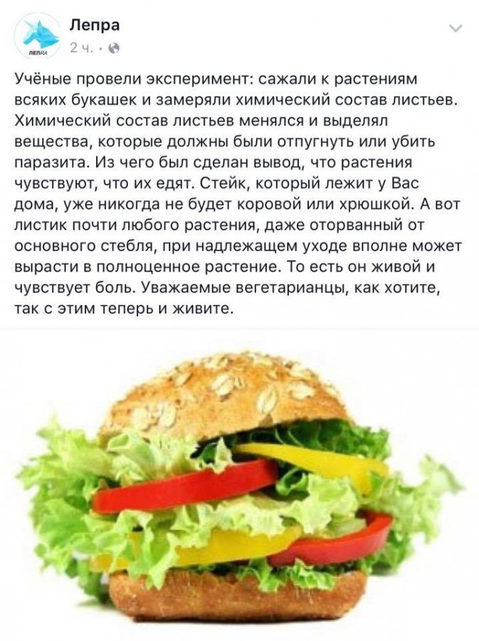 673x900, 182 Kb / Гамбургер, веганы